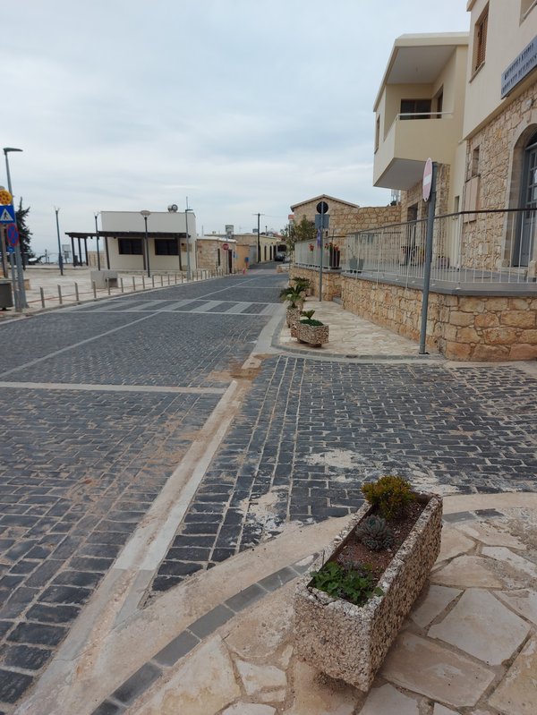 Ίνεια.jpg