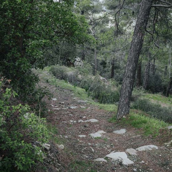 Μονοπάτι της φυσης Μαδάρη – Σελλάδι του Καραμανλή.jpg