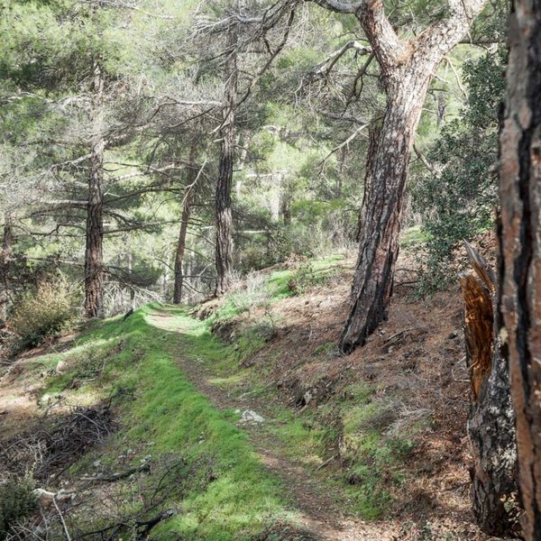 Μονοπάτι της φύσης Σελλάδι του Καραμανλή – Καννάβια.jpg