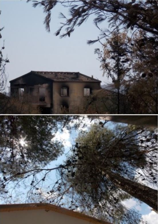 Pefkaora.JPG