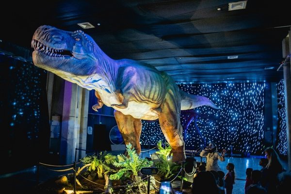dino 1.jpg